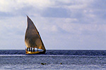 Das Dhoni ist das traditionelle Transportmittel der Malediven